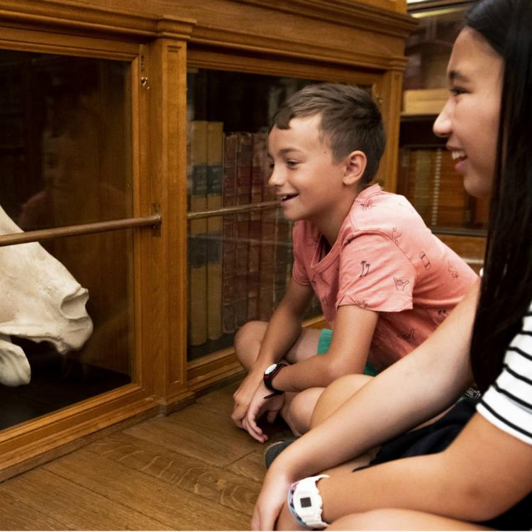 Two children looking at a marble horse head in the Enlightenment gallery 
