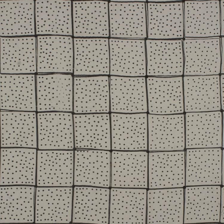 Detail of Shitikari showing a grid of squares with dotted pattern