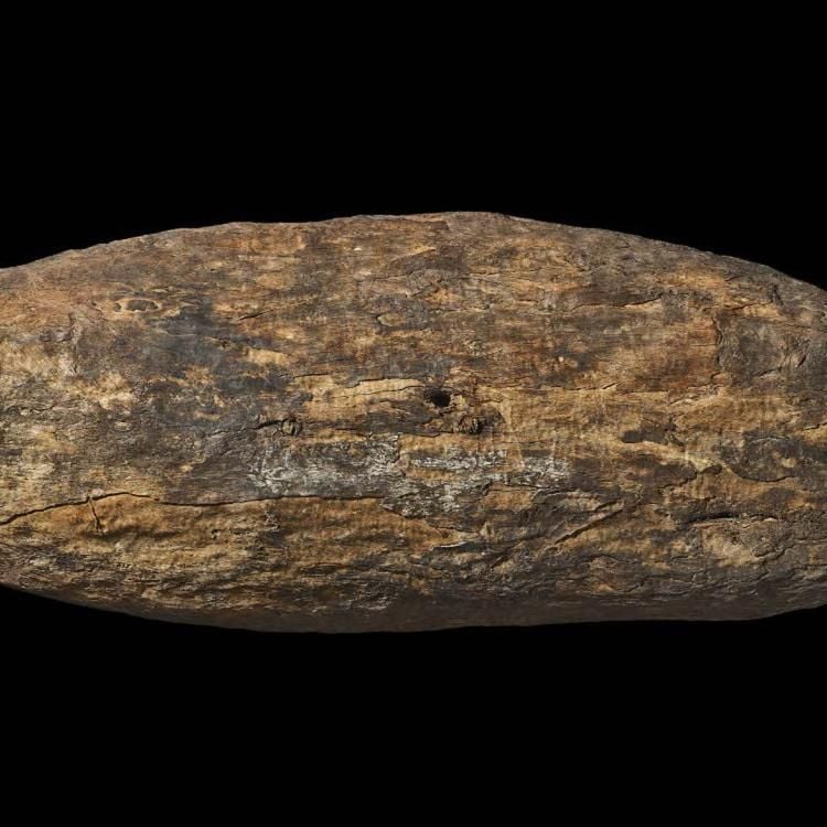 Wooden shield