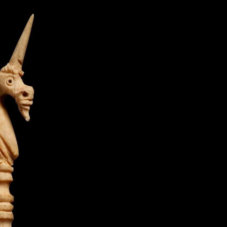 Top of bone pin in shape of a unicorn's head, shown in profile.