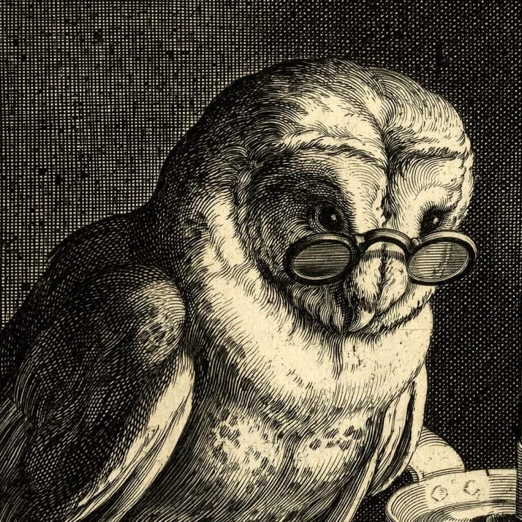 An owl wearing glasses, perched on a book, open book to one side with candle on top. Black and white.