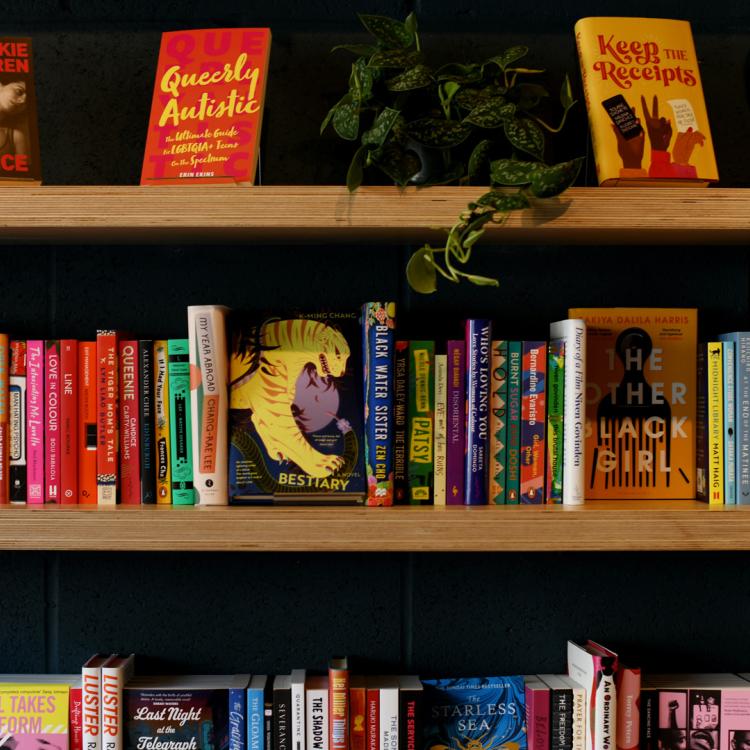 Wooden shelves lined with colourful books and small plants.