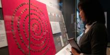 A visitor looking at prehistoric coins