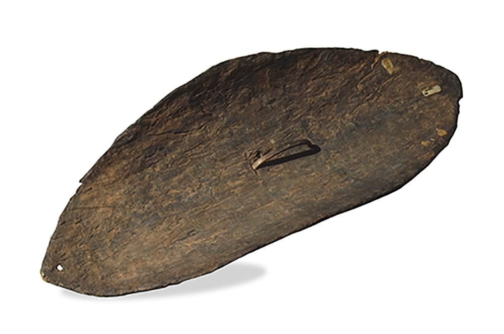 The reverse of the shield showing handle