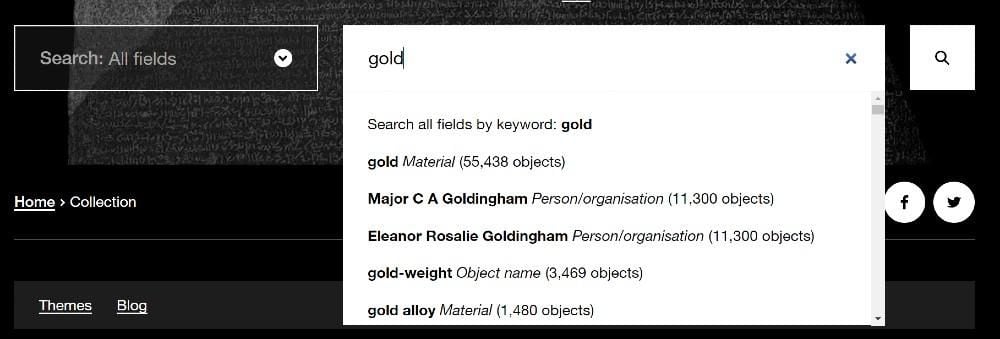 Screen grab of Collection online search showing suggested search terms