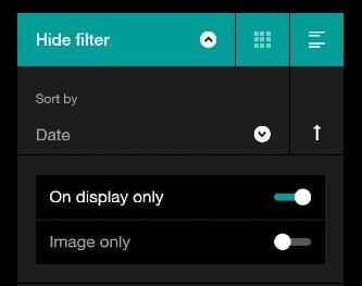 Screen grab of Collection online filter showing display only toggle