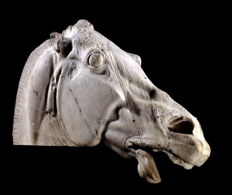 Marble head of horse