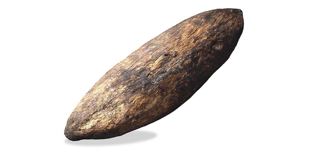 Face of bark shield