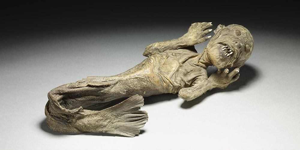 Figure of a 'mermaid' composed of the upper part of a monkey's body and a fish's tail.