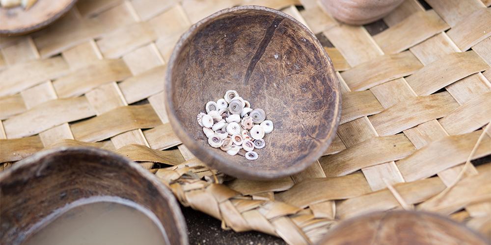 Shells sitting in a bowl.