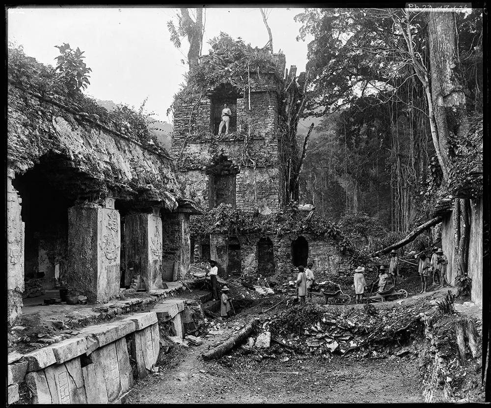 Archive photograph of Alfred Maudslay standing in the top archway of the tower at Palenque. The ruins of an ancient building are covered in vines and rubble