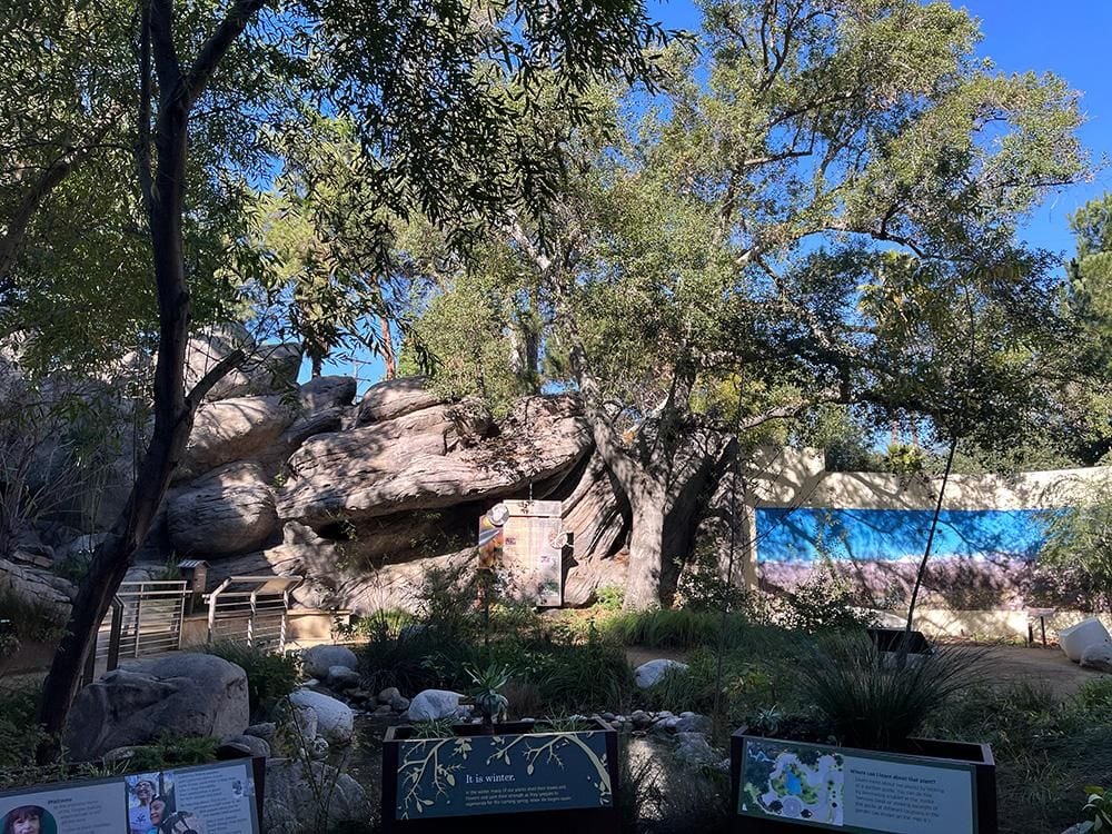 A garden with large leafy trees, grasses, plants and large boulders, set against a bright blue sky.